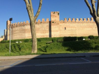 Clicca per vedere l'immagine alla massima grandezza