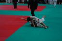 gara_judo_asti_25_10_2815829.jpg